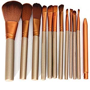 12 Pcs Professional Makeup Brush Cosmetic Beauty Make Up Brush Set - Trendup Store